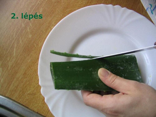 aloe vera gel