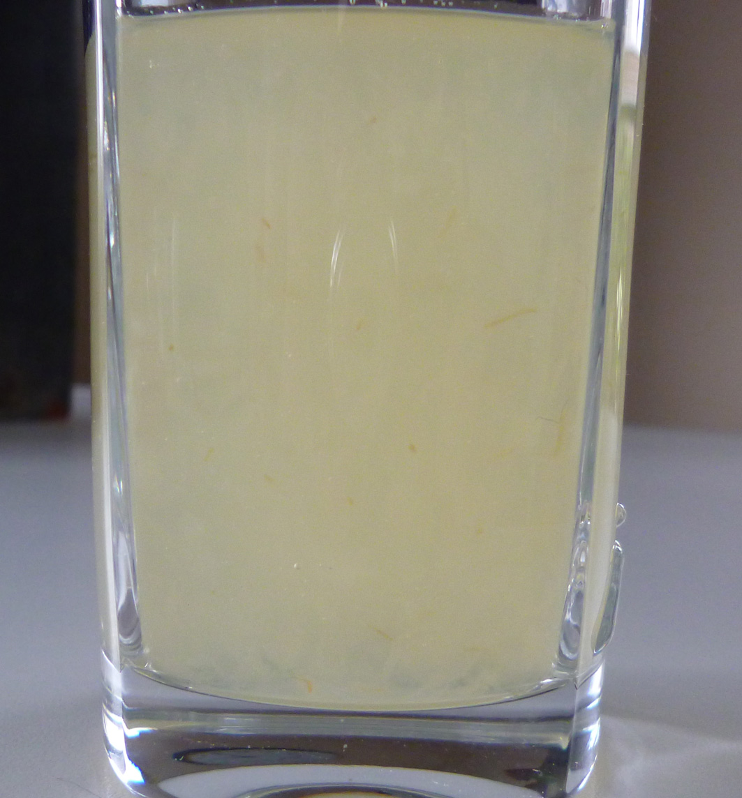 pure en echte onverdunde aloe vera gel van Ecolife