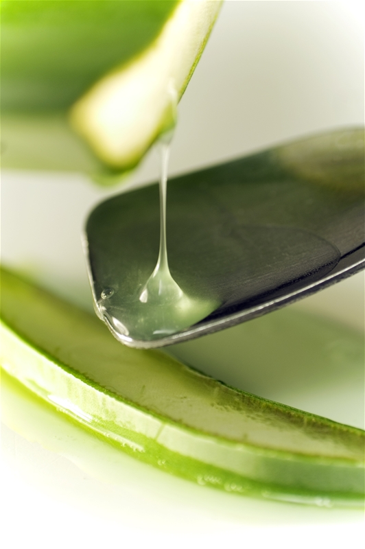 aloe vera barbadensis miller gel